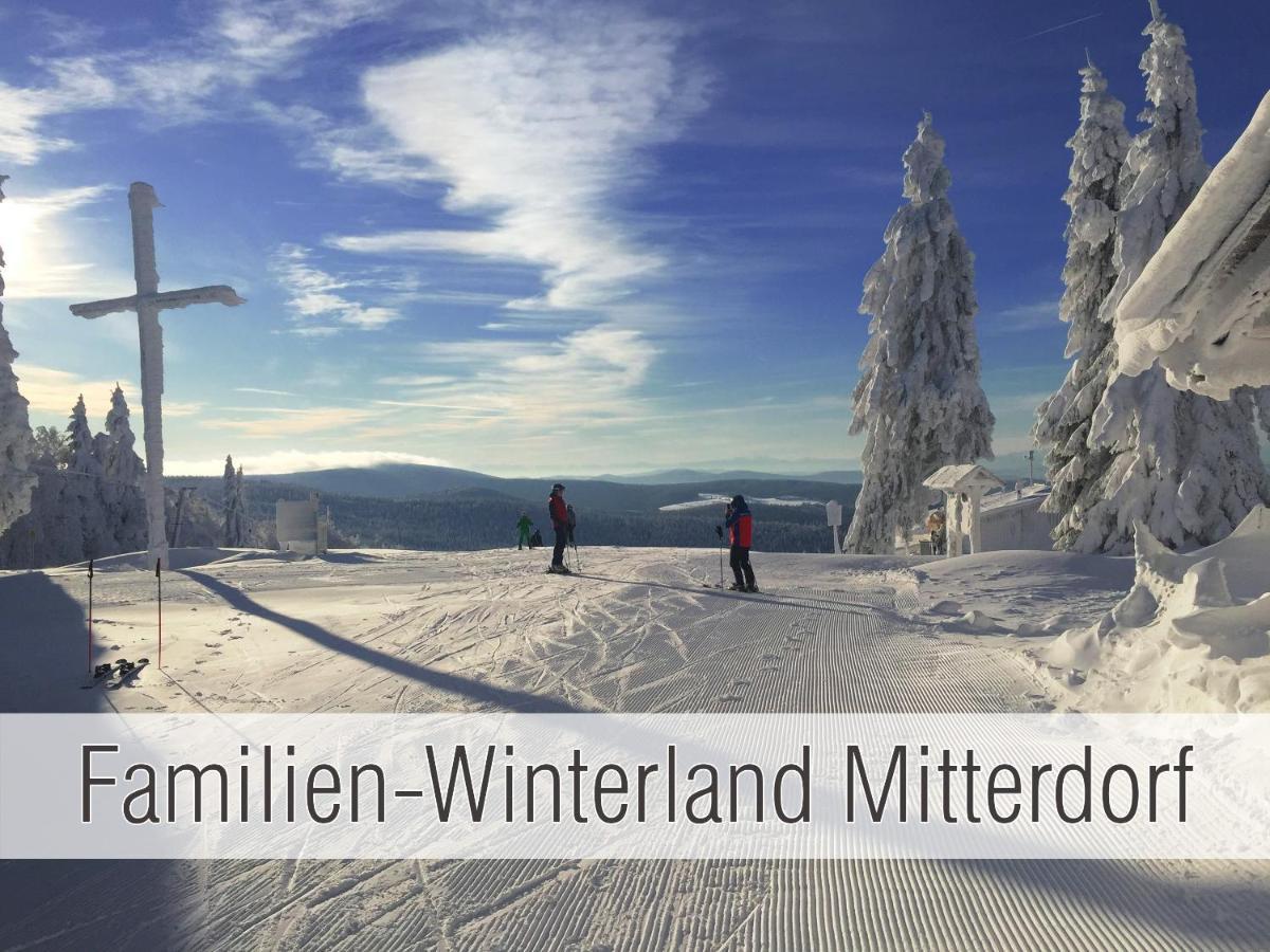 Huette41: Ganze Huette Nah Am See Mit Privatem Whirlpool, Sauna. Umzaeunt. Waldkirchen Kültér fotó
